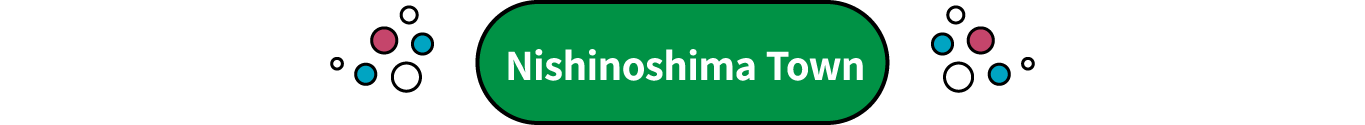 Nishinoshima Town